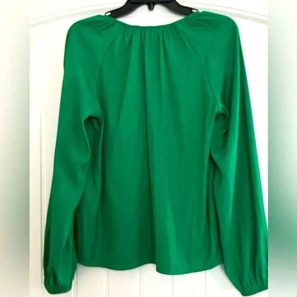 Loft Emerald Glow Shirred Raglan Long Sleeve V-neck Blouse - Picture 8 of 14